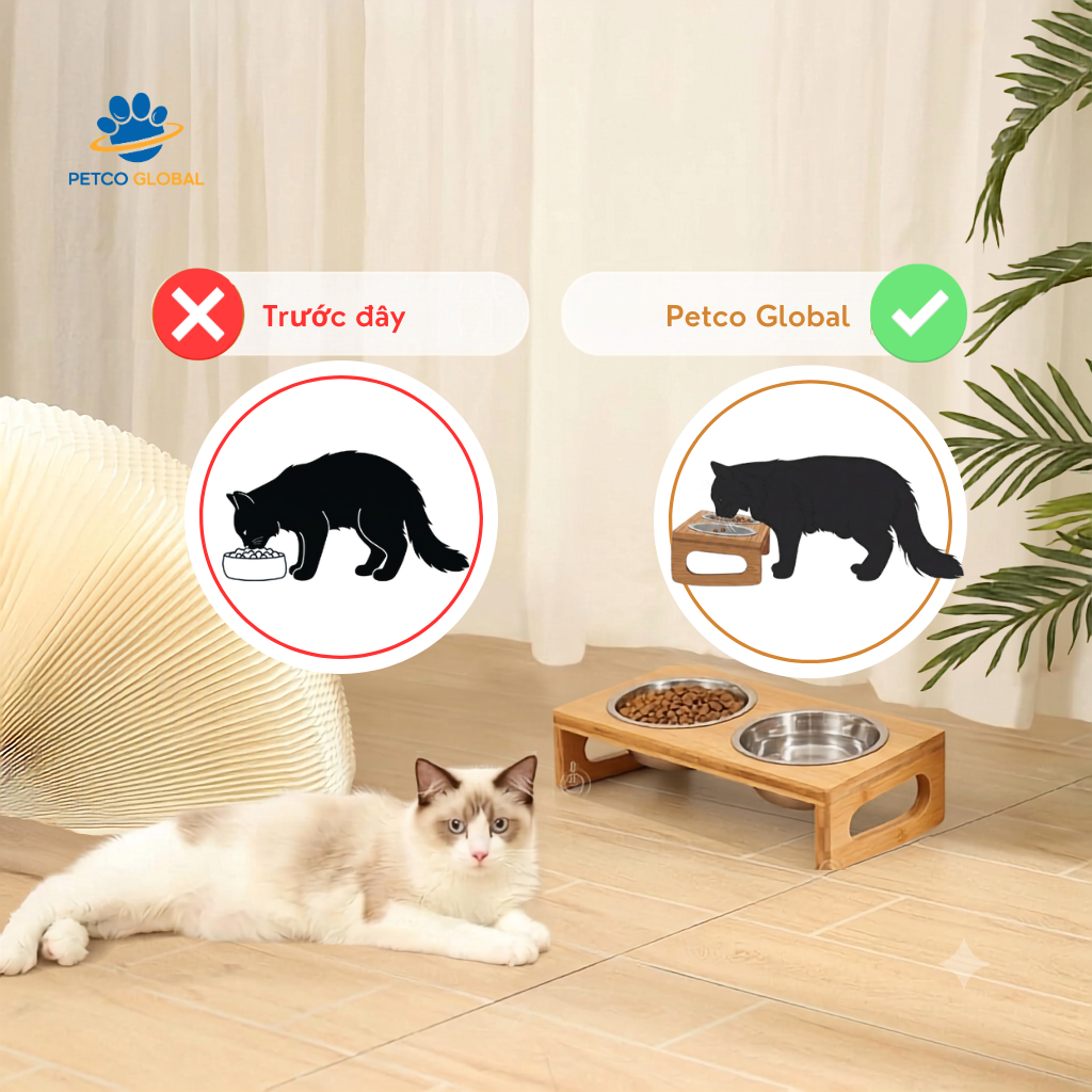 So sánh trước sau khi dùng bàn ăn nghiêng Petco Global