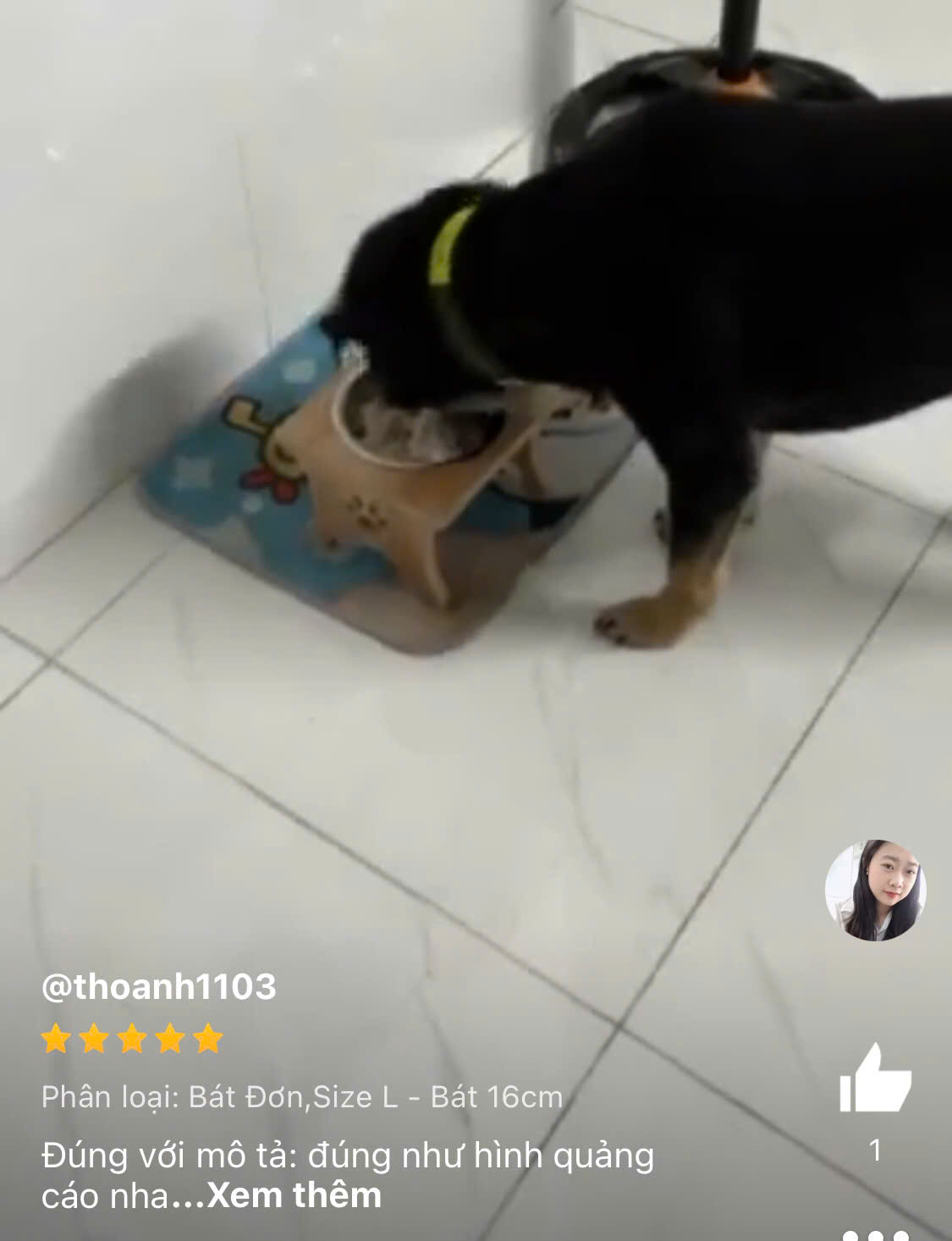 Đánh giá 5 sao khách hàng thoanh1103 với chó đang ăn bát đơn Petco Global